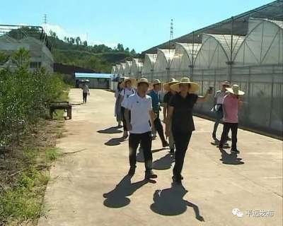 刘兰娇考察第九届北京国际山地徒步大会梅州平远站筹备工作