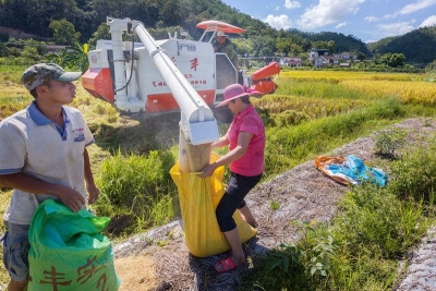 美丽梅州新闻摄影大赛丨我市进入夏收农忙模式