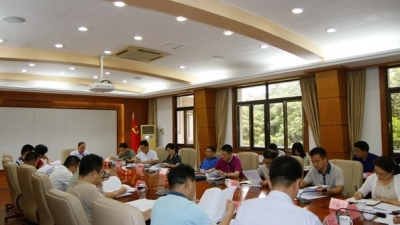 余其豹主持召开兴宁市委常委会会议：开创党建和组织工作新局面
