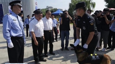 警犬上街执勤，五华群众安全感倍增