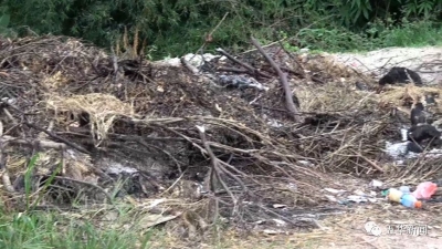 五华华城镇和转水镇卫生情况有所改善 但仍须加强整治