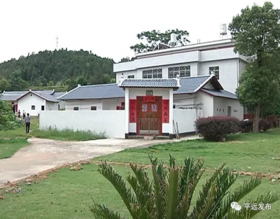 乡村振兴看平远丨河头镇向阳村：因地制宜 走绿色发展之路