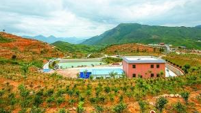 大埔交通发展“加速度” 人民群众出行不再难