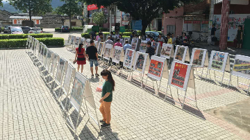 重温经典！红色电影海报展巡展活动走进大埔