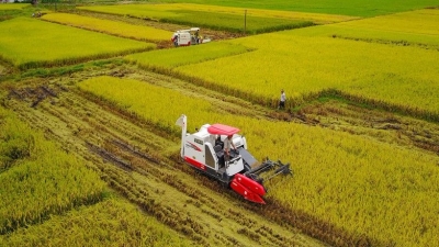 点赞！梅州获全省耕地保护责任目标考核三等奖