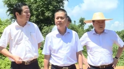 省环保厅督导组到丰顺督导重点国考断面水质达标攻坚工作