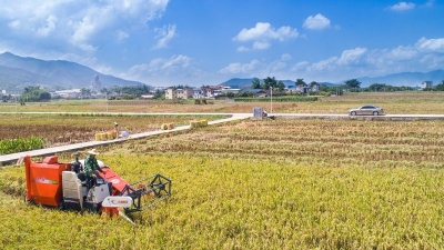 美丽梅州新闻摄影大赛丨稻花香 说丰年