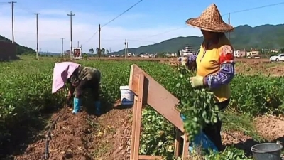 满满的幸福感和获得感！来看平远东石镇