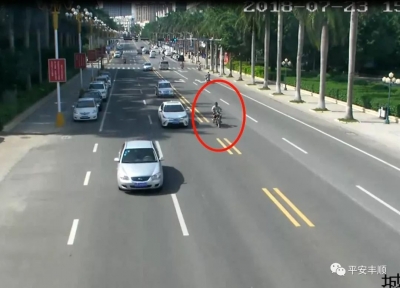 丰顺一飞车贼当街抢夺手提包，不到7小时就落网