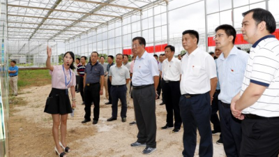 五华乡村振兴发展工作会议召开  现场考察启动