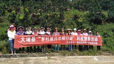 大埔妇联开展“乡村振兴巾帼行动”科技服务活动