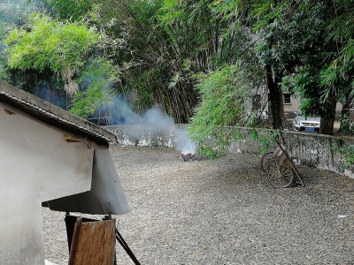 贪方便就地焚烧树叶，烟味呛人...坐标：梅城江南教育路