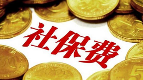 中办国办发文：明年起税务部门统一征收社会保险费