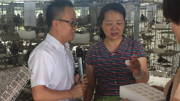 市人大调研组到兴宁调研脱贫攻坚和美丽乡村建设工作