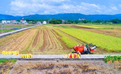 “机械侠”显神威！蕉岭推广农机社会化服务促进增产增收