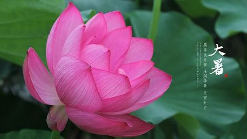 今日大暑，一年中最热的时候来了