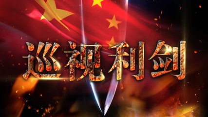 全省推进巡视整改工作动员会议召开