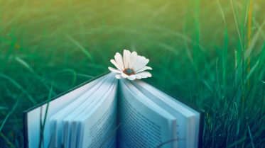 灯下手记丨精研文本让语文景致绝妙