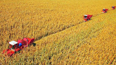 梅县区：发展绿色生态富民产业，推动乡村振兴发展