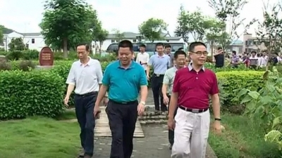 五华县调研考察团到大埔考察乡村振兴工作