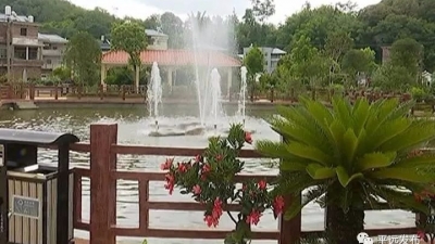 长田镇长田村石赖坑：热心乡贤助力生态宜居美丽乡村建设