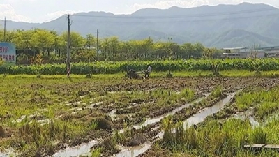 秸秆还田，不仅肥了土地也护了环境！这波操作学起来