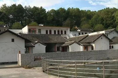 梅县区：坚持生态优先绿色发展 推动乡村振兴