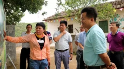 朱汉东到大东镇开展专题调研