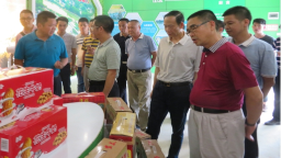 五华组织有关人员到大埔蕉岭学习人居环境综合整治工作