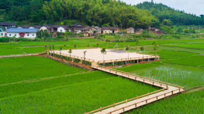 我就是我，不一样的平远！来看看平远怎样推进乡村振兴