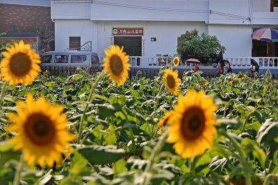 喜看山村换新颜！记者行走兴宁探访乡村振兴战略实施