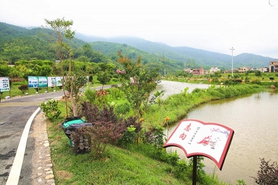 丰顺：“党建+”让群众富在产业链上