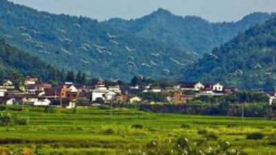 深圳大学生走进蕉岭山区学校 为孩子们带来多彩暑假