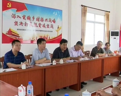 钟光灵参加桃尧镇湾溪村党支部组织生活会