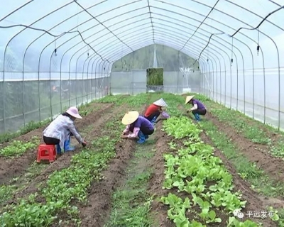 亲，来看平远中行镇如何推动乡村振兴！