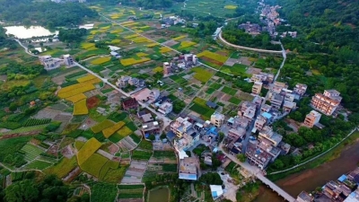 全省首个！丰顺大罗村岳潭复垦项目在全省率先通过验收