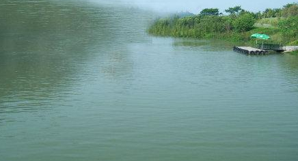 悲剧！梅县三小伙结伴抓鱼，却搭上了一条性命…