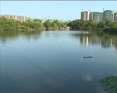 互学互比 取长补短！梅县区召开乡村振兴现场会