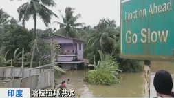 印度喀拉拉邦百年一遇洪灾已致324人死亡