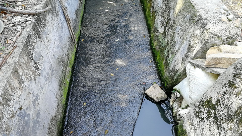 臭skr人！大埔这条水沟猪粪漂漂，村民实在不能忍！