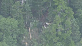 日本群马县直升机坠毁，机上9人全部遇难