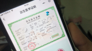 茶座丨电子出生证需既方便又安全