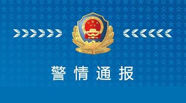广东一大货车冲卡拒检连撞14辆车！警方多次开枪示警 