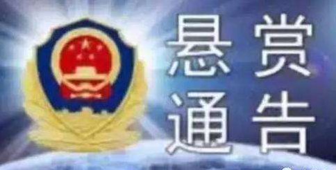 梅州一医院女会计监守自盗！悬赏通告发出三小时后投案