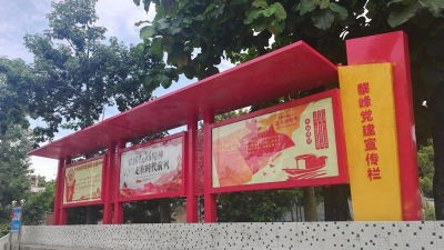 为“无职党员”设岗定责 丰顺激发基层党建活力有妙招