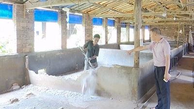 关闭生猪栏舍97户！蕉岭长潭镇生猪养殖污染整治显成效