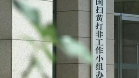 国内最大跨国跨境涉黄直播聚合平台"桃花岛宝盒"被破获