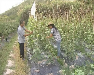 我国过半贫困县脱贫摘帽