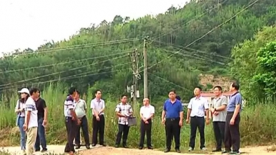 吴泽桐到大埔调研贫困村自来水、道路硬底化工程建设情况