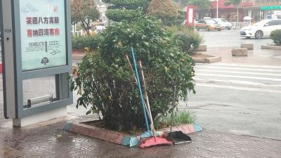 无处安放的拖把，绿化树上直接挂？煞风景！
